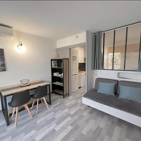 Apartment « la Voile » 4 Pers Avec Clim Et Terrasse *